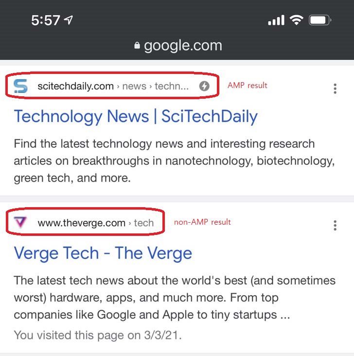 AMP SERP